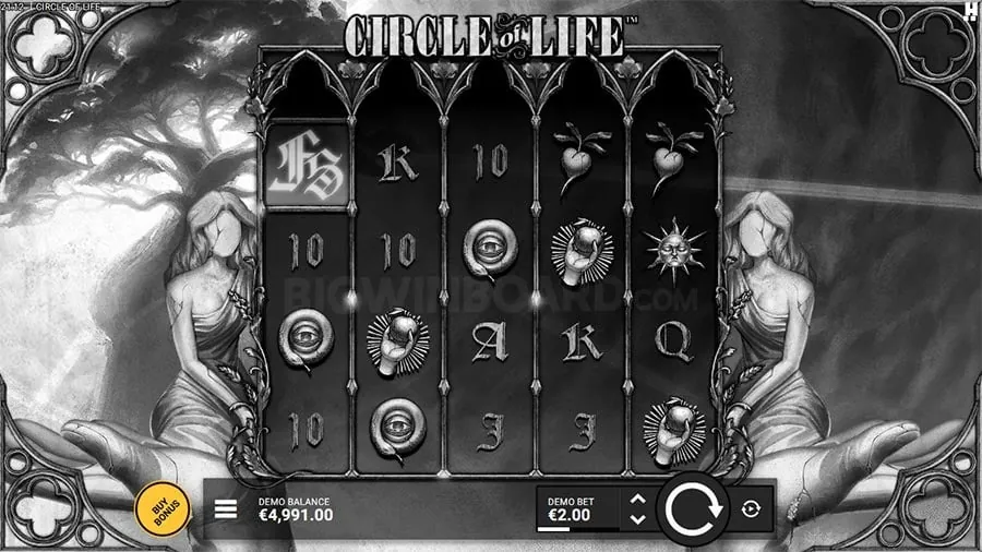 Live Casino Dealer in Action