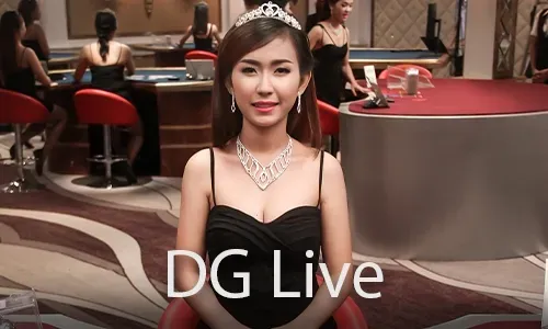 Live Bingo Game